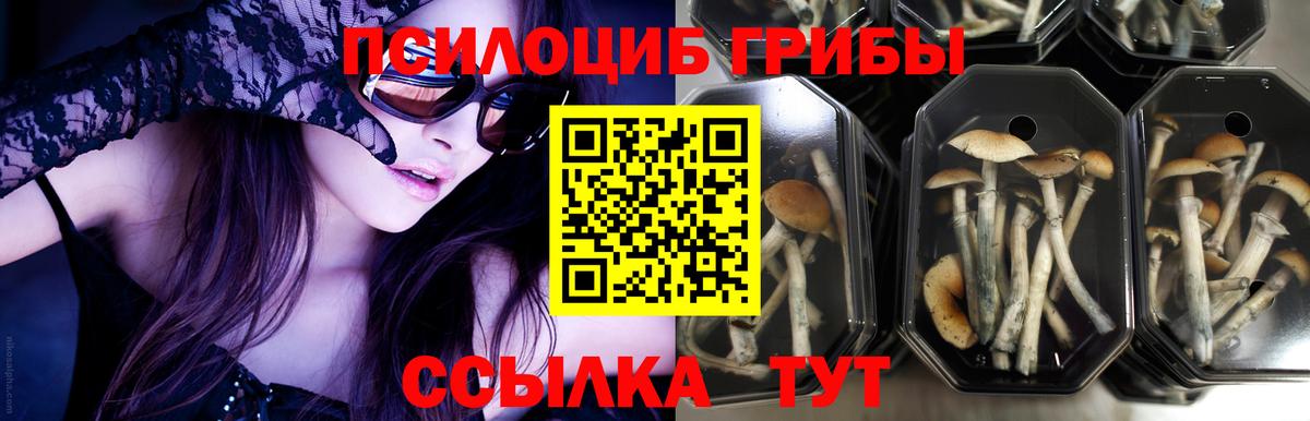 Псилоцибиновые грибы MAGIC MUSHROOMS  Вход с VPN  Усинск 