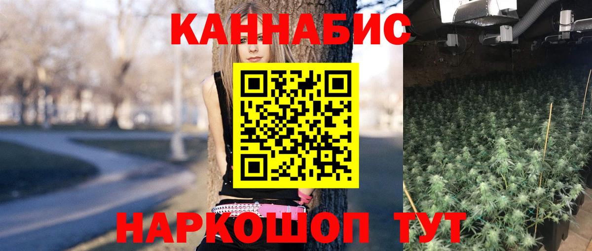 Усинск  Каннабис индика  Бошки марихуана марихуана  Марихуана планчик  Вход с VPN 